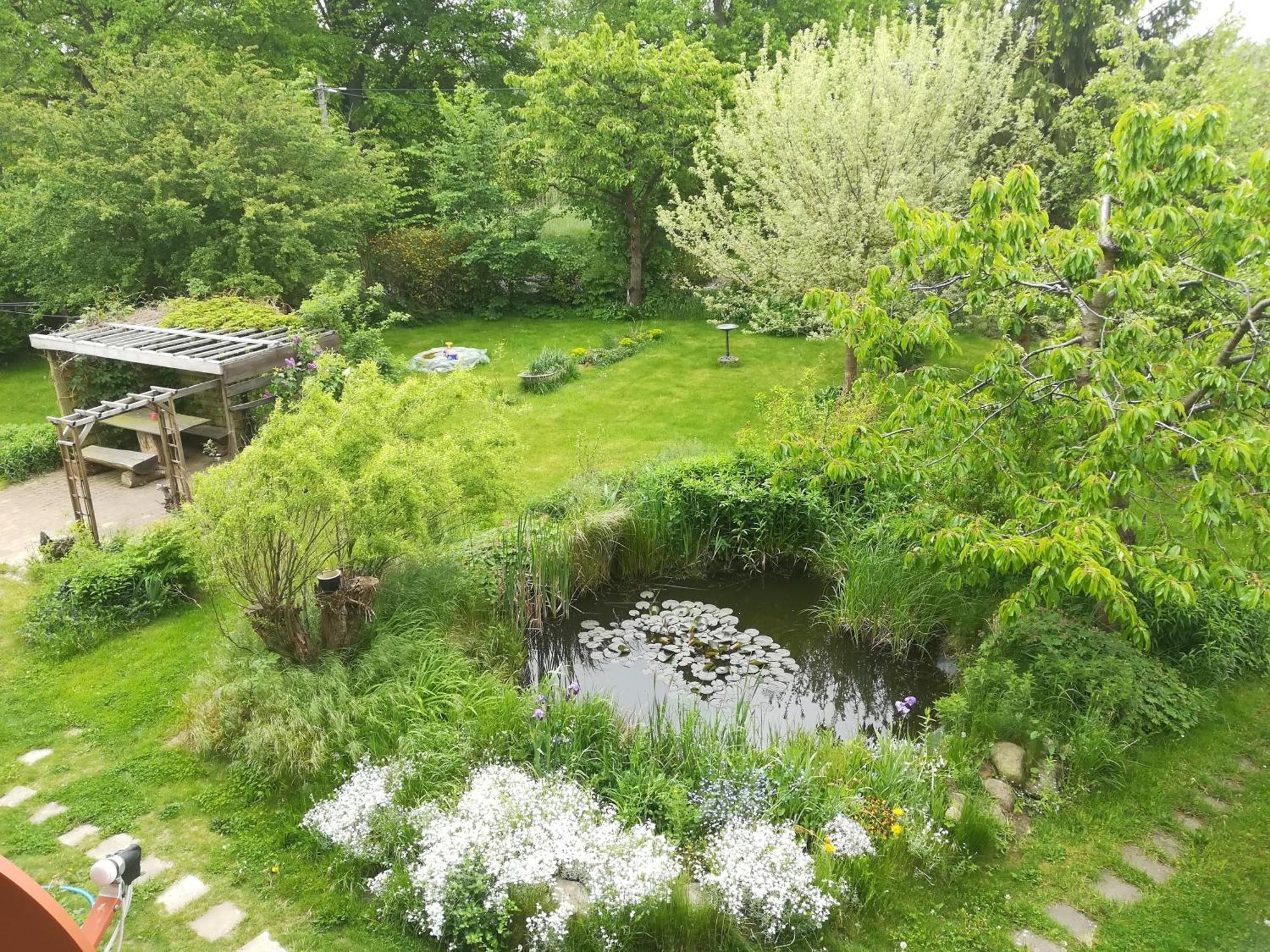 Ferien In Der Scheune Dettmannsdorf المظهر الخارجي الصورة